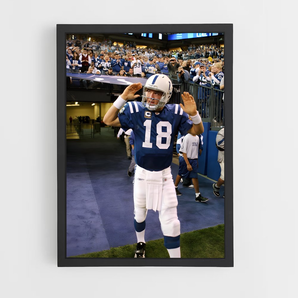 Poster L'Ascension de Peyton (vue 2)